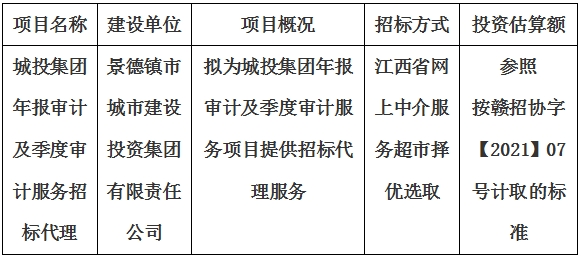 城投集團年報審計及季度審計服務(wù)招標(biāo)代理計劃公告