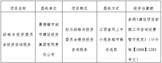 戰(zhàn)略與投資委員會投資咨詢服務(wù)計劃公告