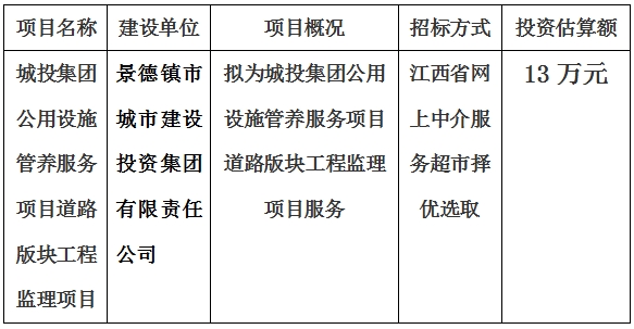 城投集團(tuán)公用設(shè)施管養(yǎng)服務(wù)項目道路版塊工程監(jiān)理項目計劃公告